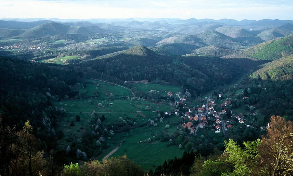 Panoramabild eines bewaldeten Tals im Pfälzerwald.