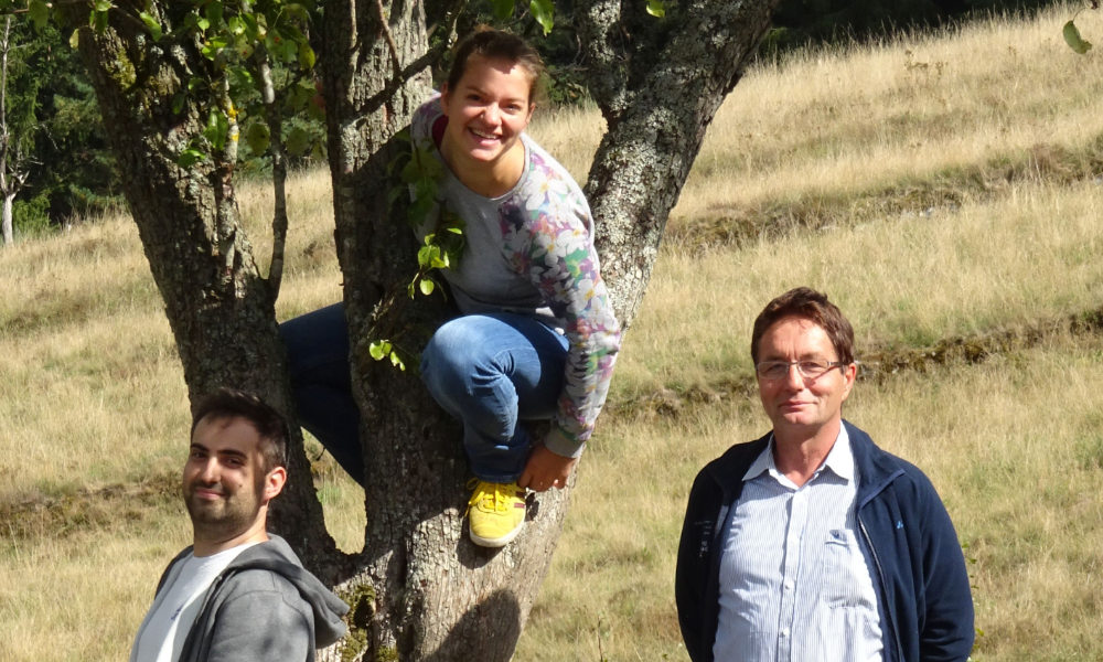 Gruppenfoto vor einem Baum: Eine Frau sitzt einer Astgabel, ein Mann lehnt sich gegen den Stamm, ein Mann steht daneben.